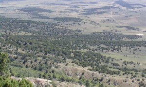 626 Acre Hunting Ranch